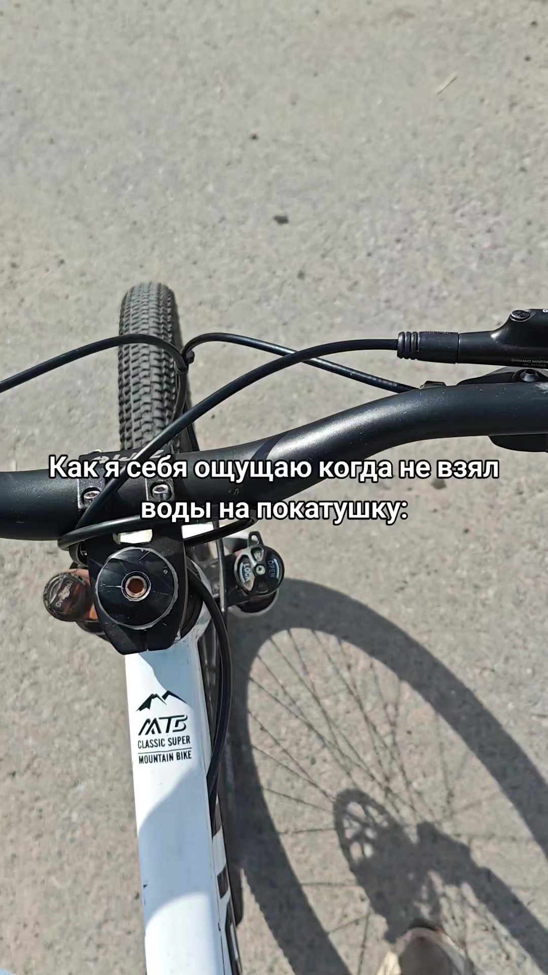 @Lesha Shendrigin