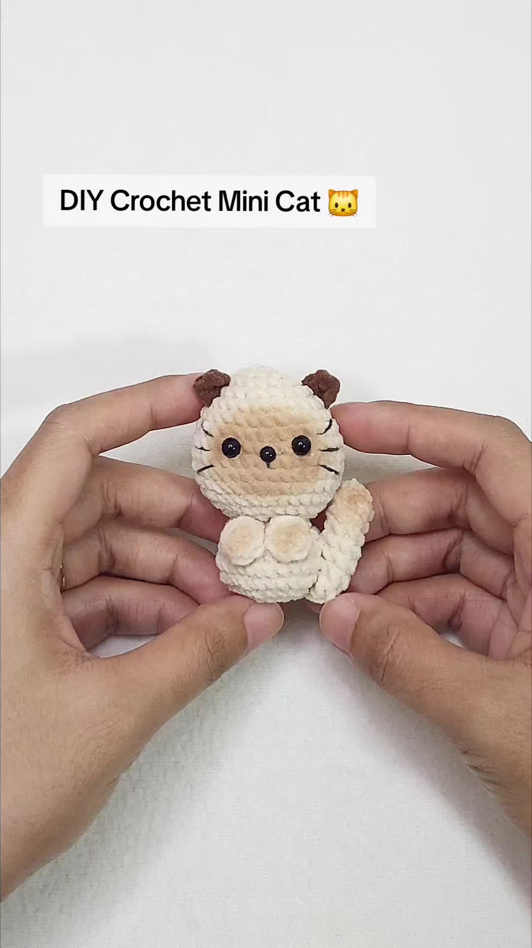 @Mini Dolly