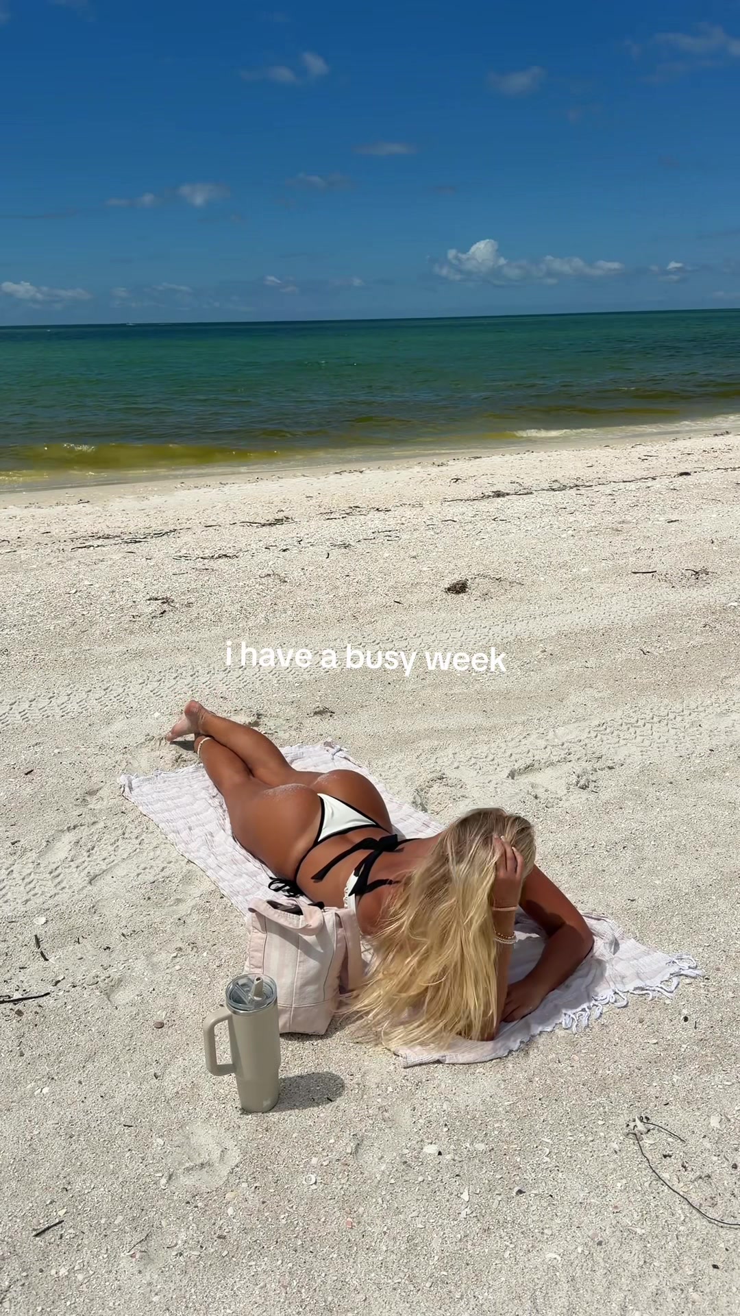 @Haute Swimwear