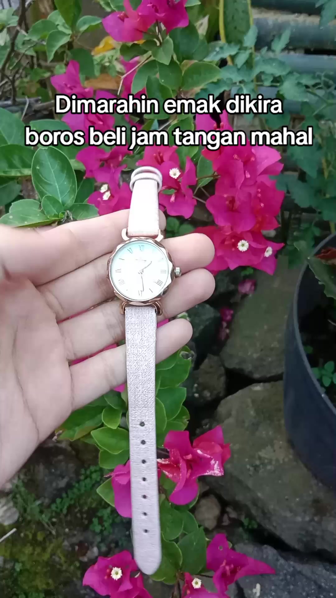 @S-tetik 🛒
