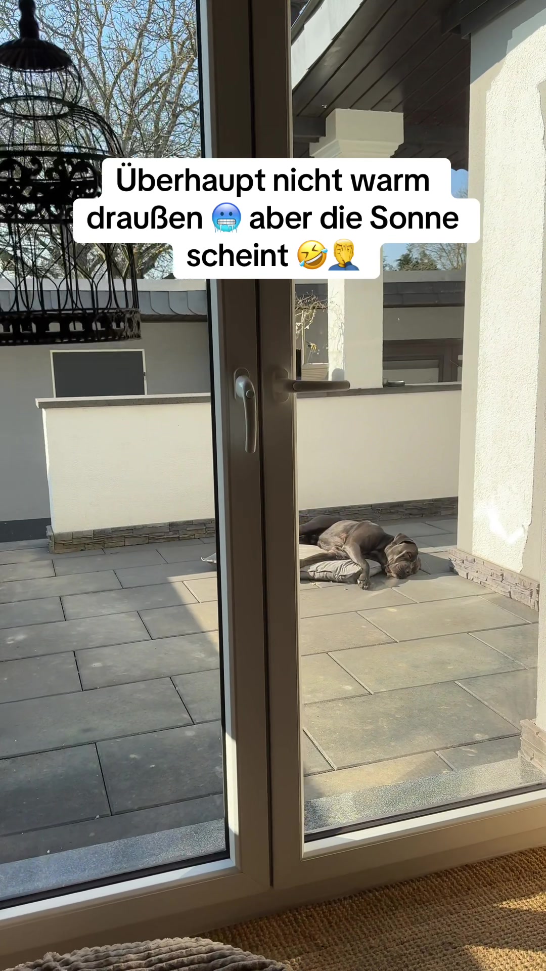 @BruceXcorso