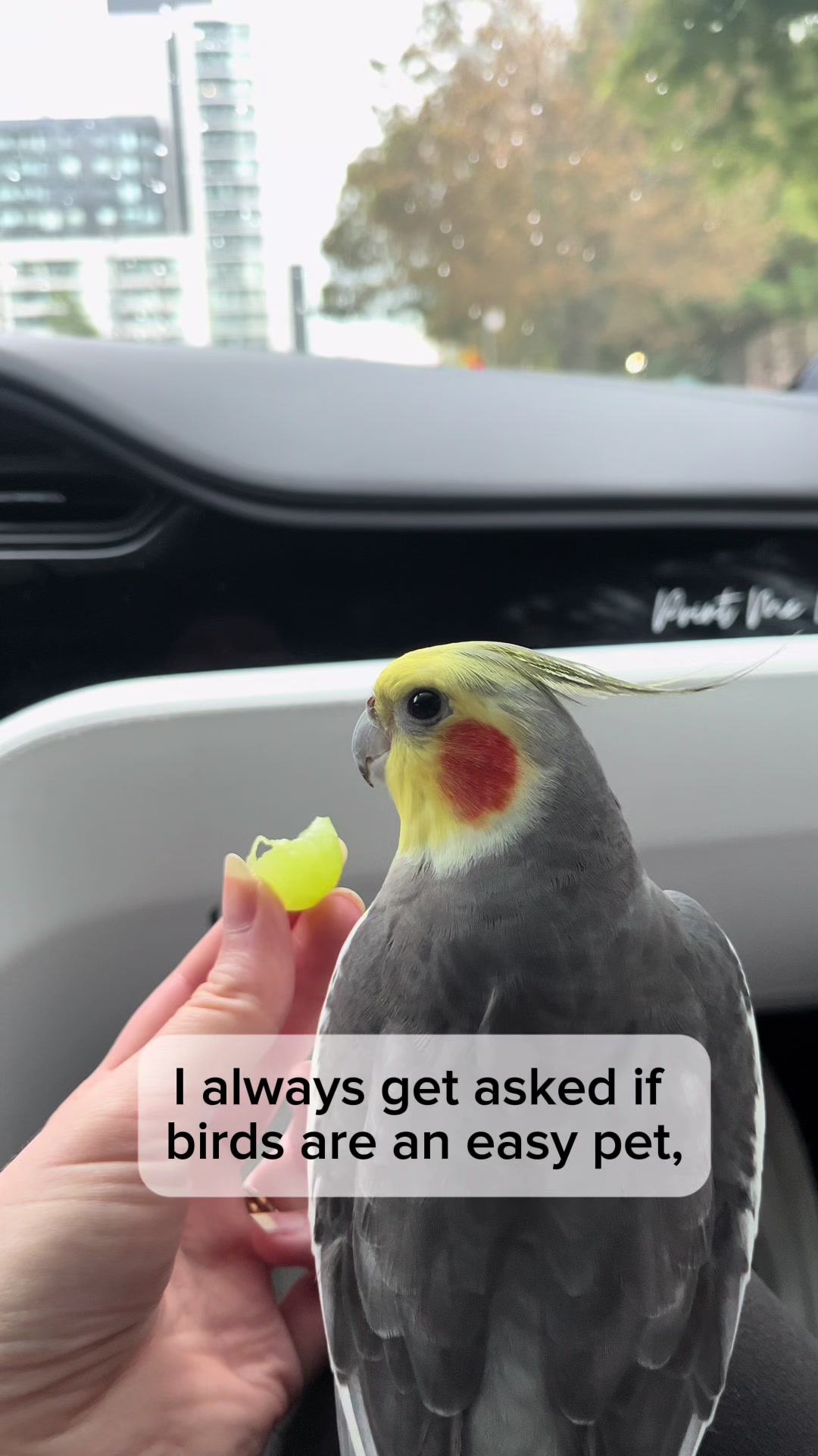 @Emery The Branch Manager