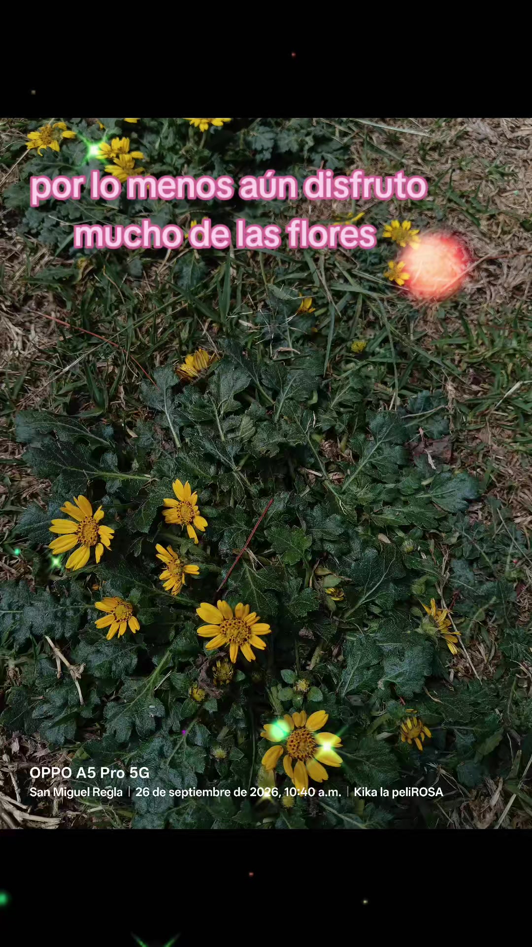 @💎viajando y trenzando🇲🇽