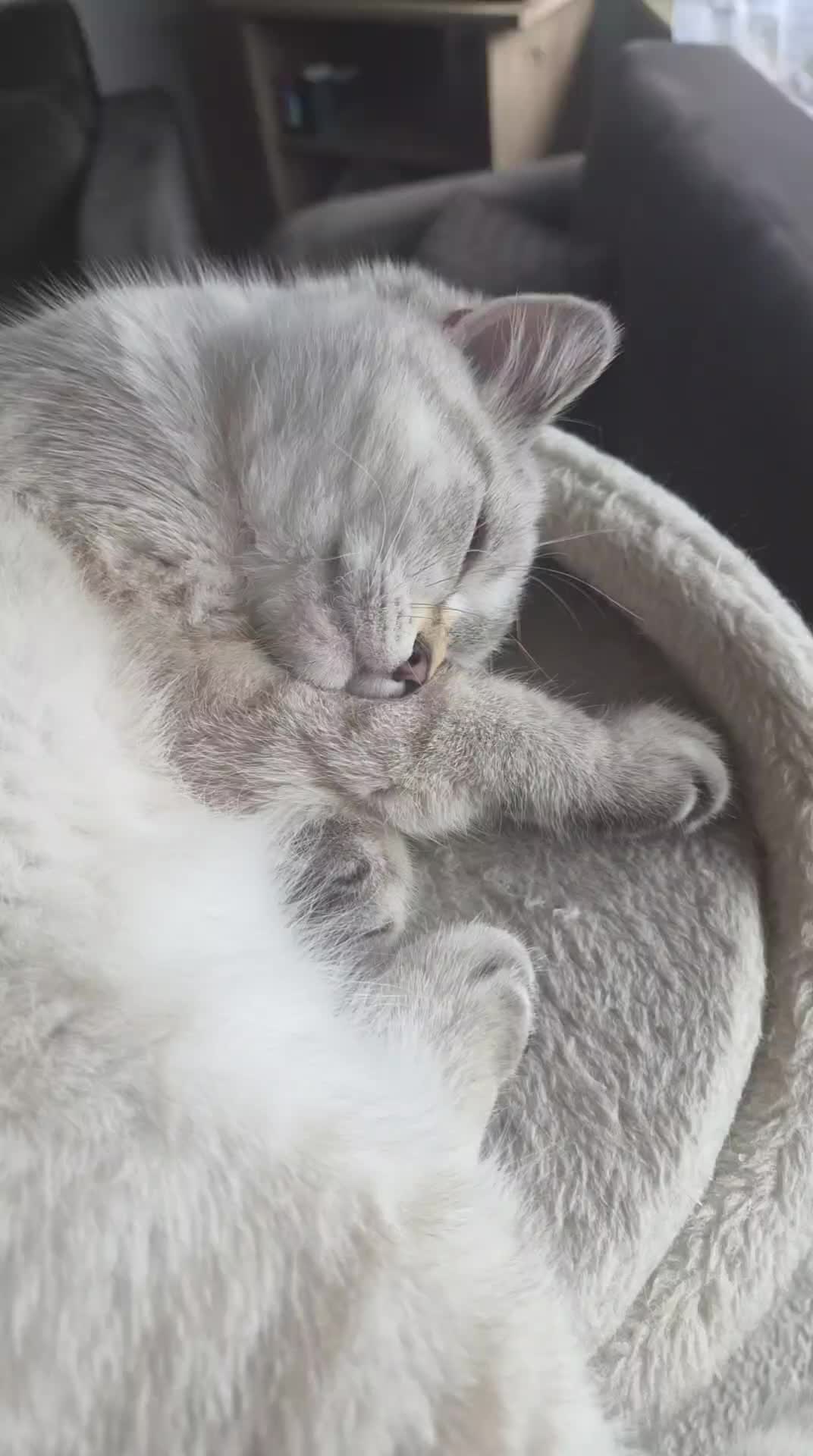 @😽
