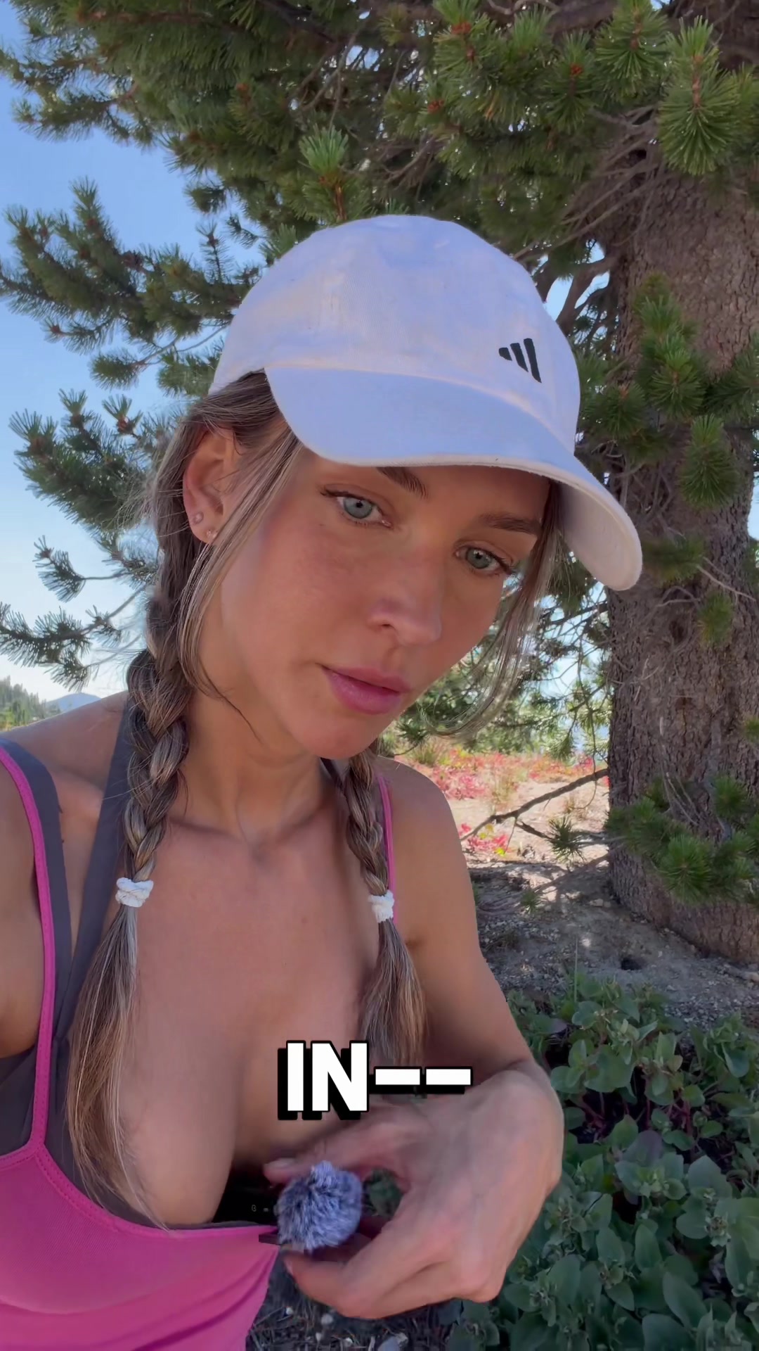 @Rachel Cook