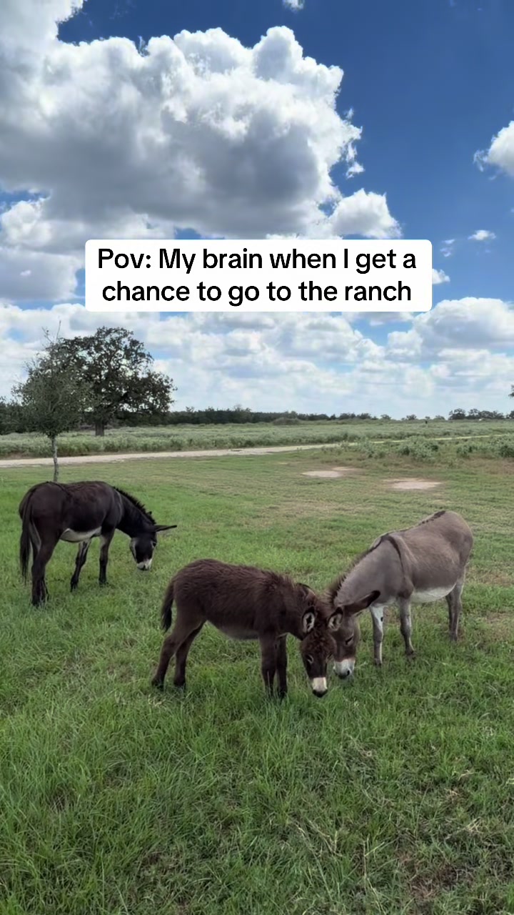 @Heather_plus_3