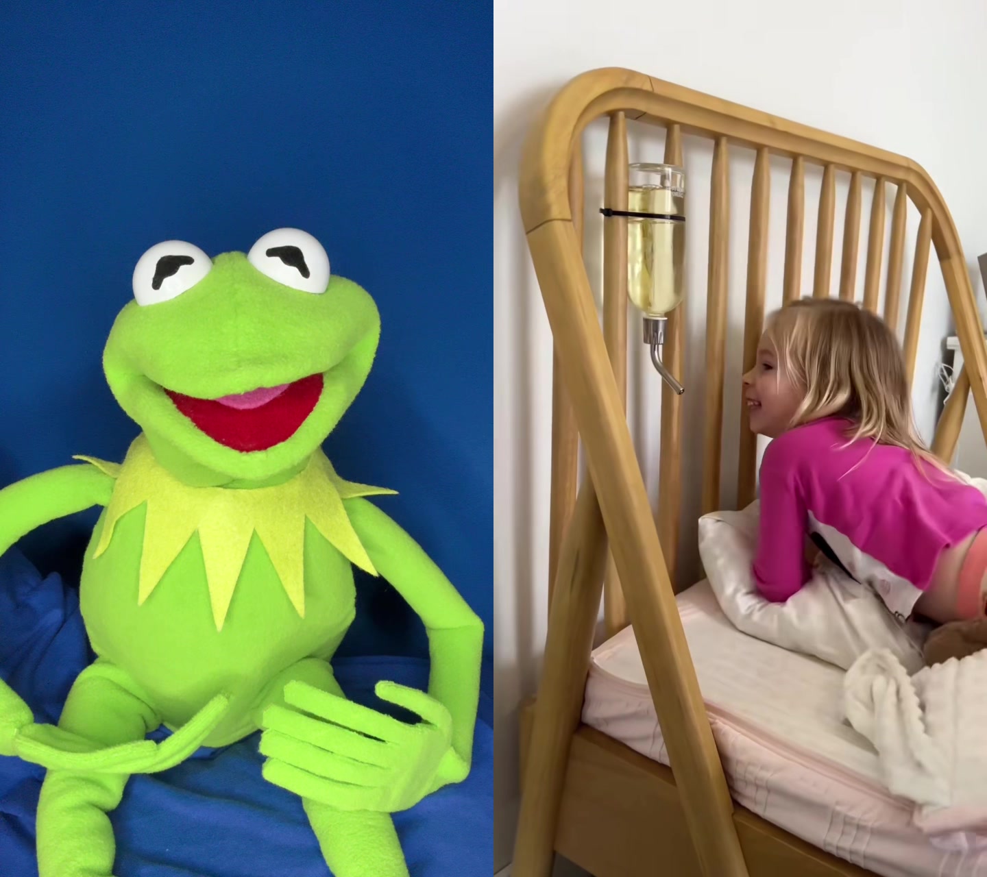 @Kermitthepuppet