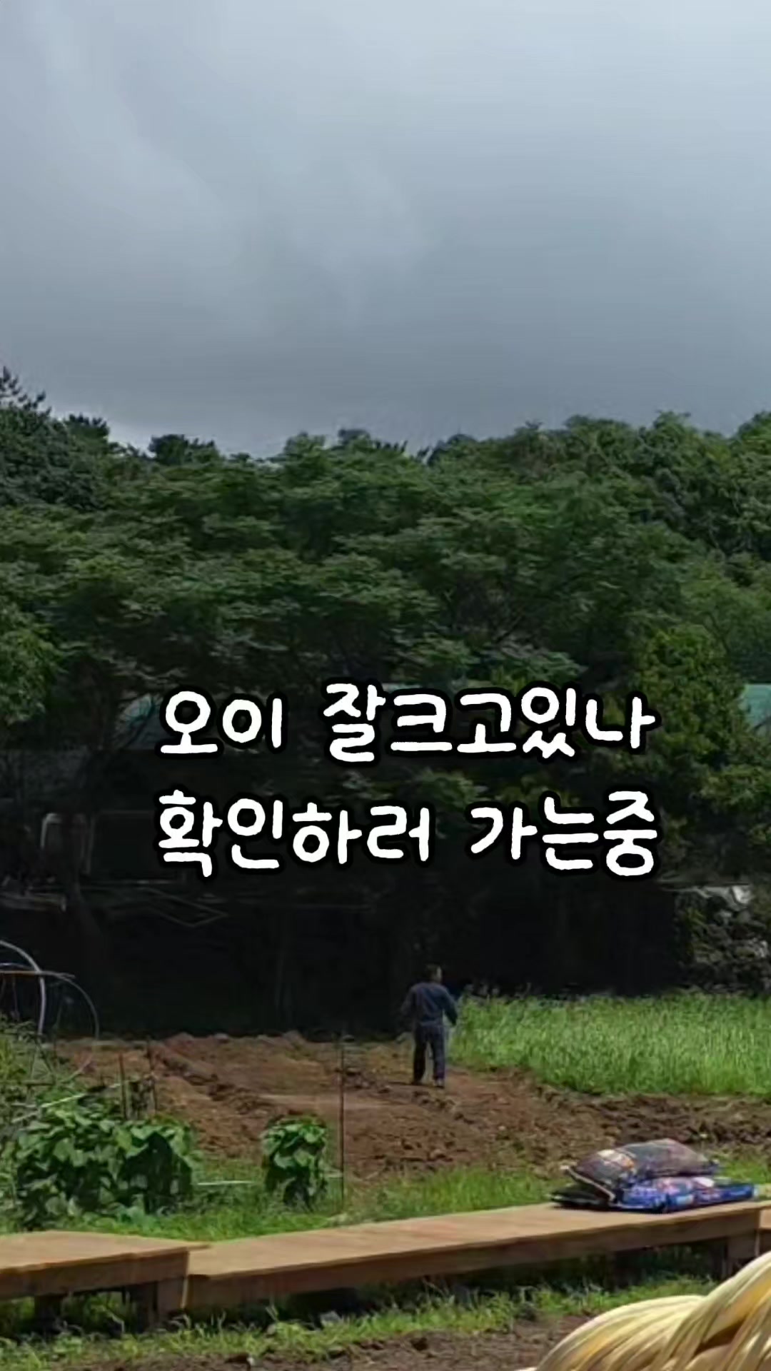 @🗺️김병만ByoungmanKim🗺️