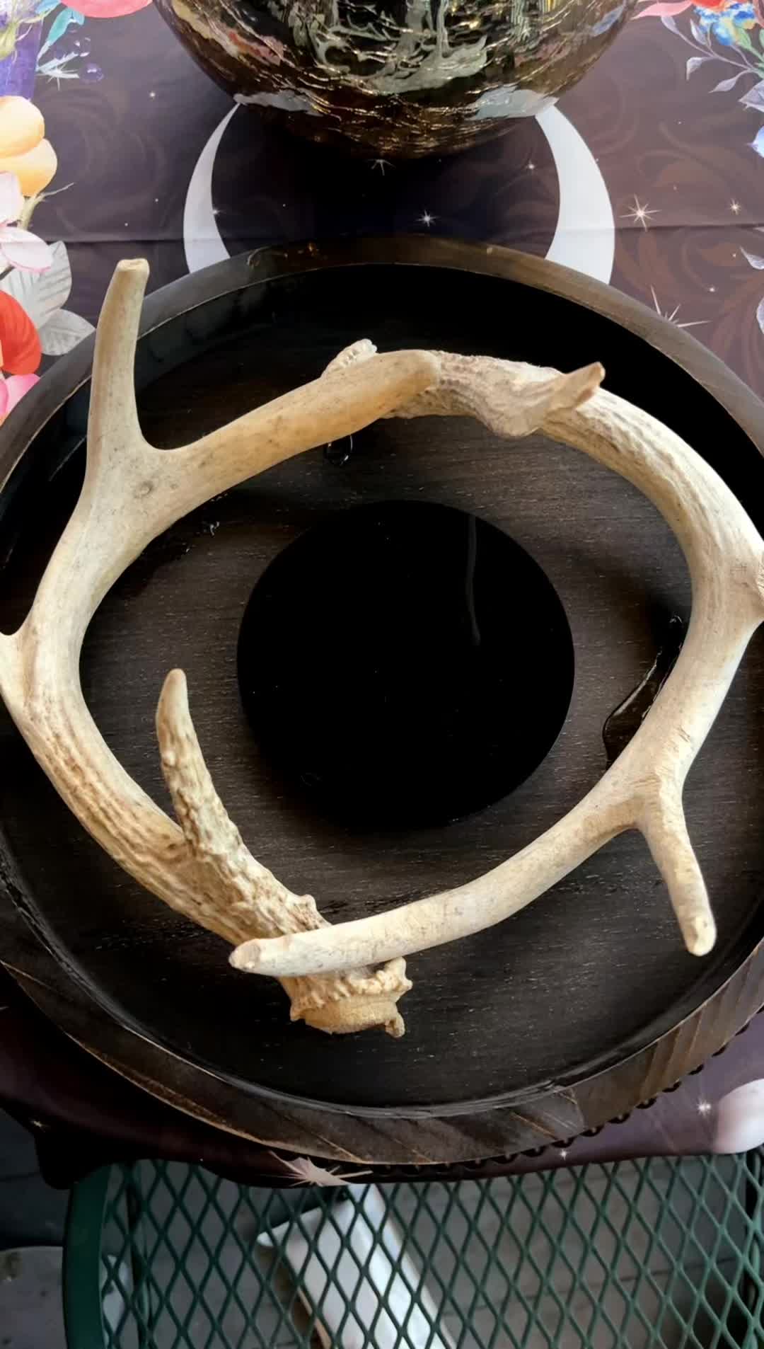 @BurntRaven 🐦⬛