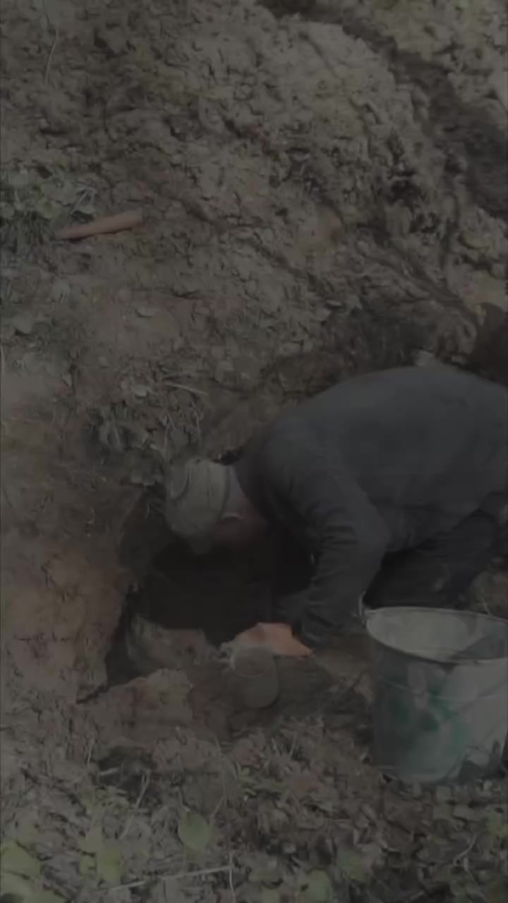 @Archaeologist 11