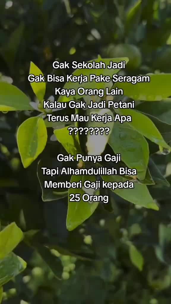 @Dee
