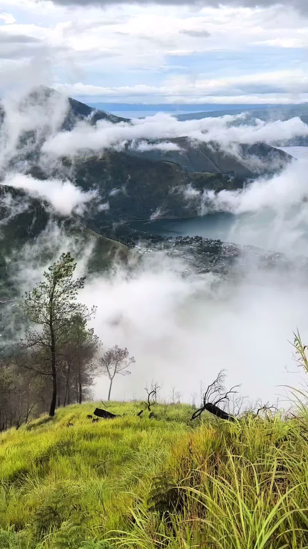 @साईलो दाई