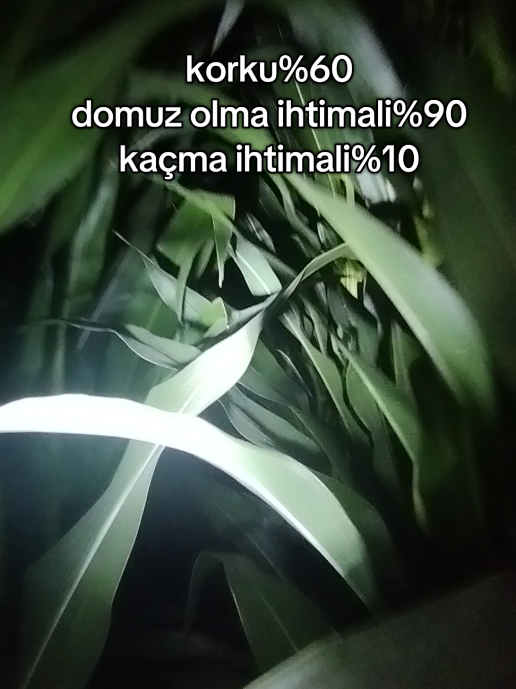 @𝙀𝙢𝙞𝙧