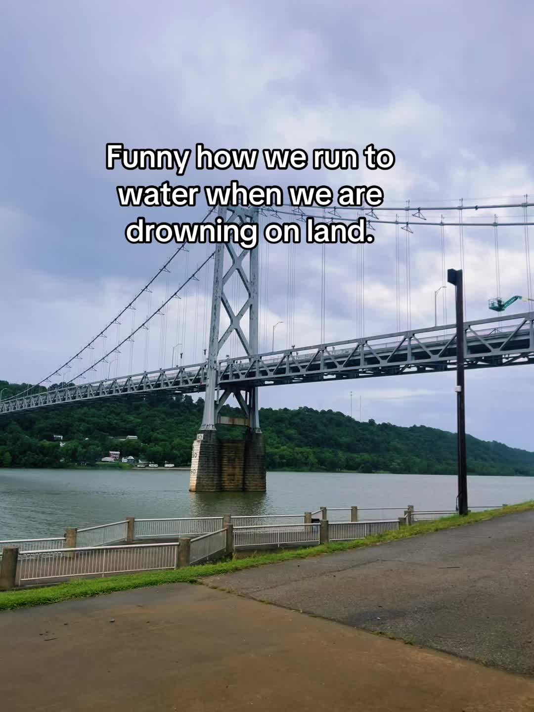 @WhimsicallyWeeded12