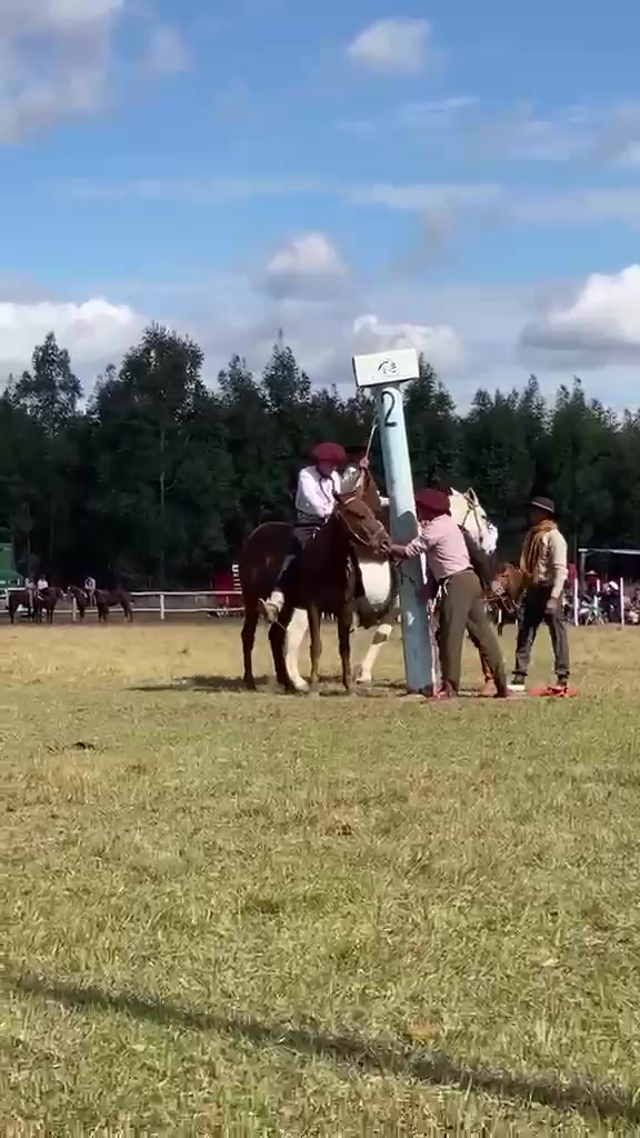 @francogonza