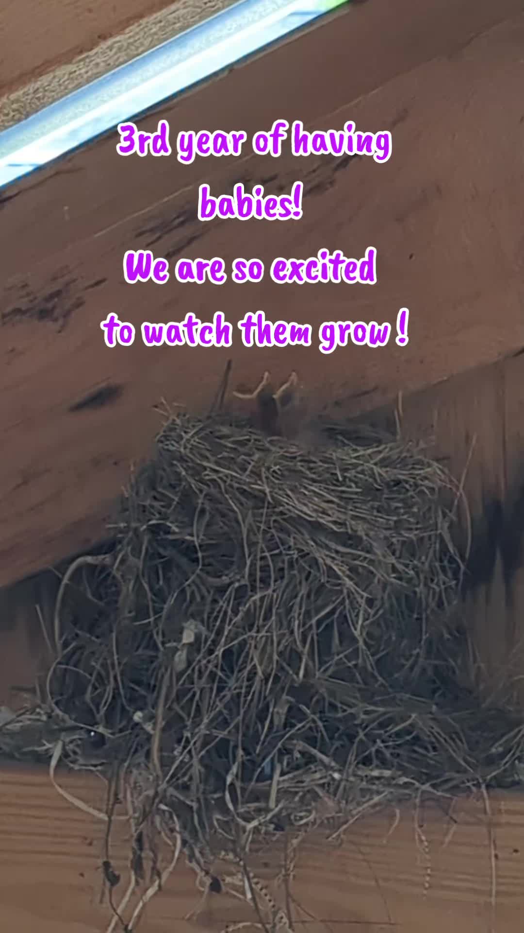 @admsfamily