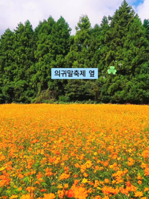 @제주도