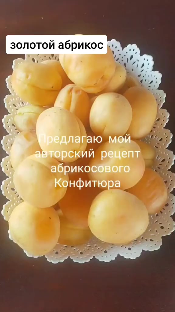 @mirymir703