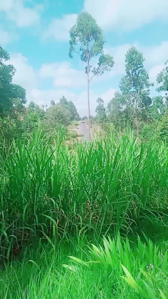 @Veni🇰🇪
