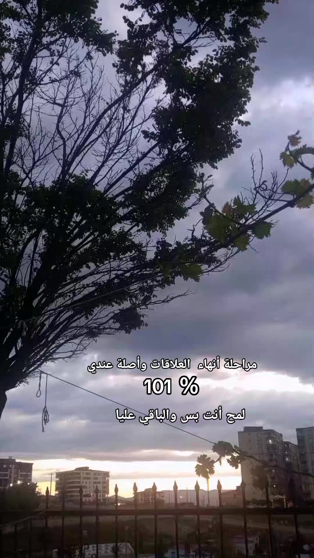 @🇹🇷🕊بنت الموصل 👑🇮🇶