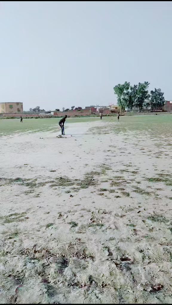 @03130519250