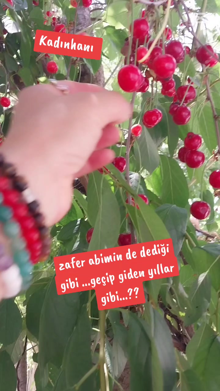 @🌹🌹ELA  G&Ouml;ZL&Uuml; 🌹🌹