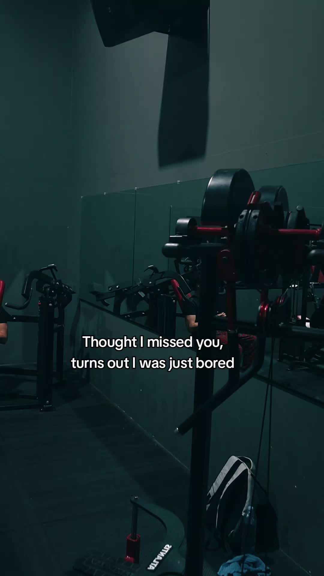 @yogi