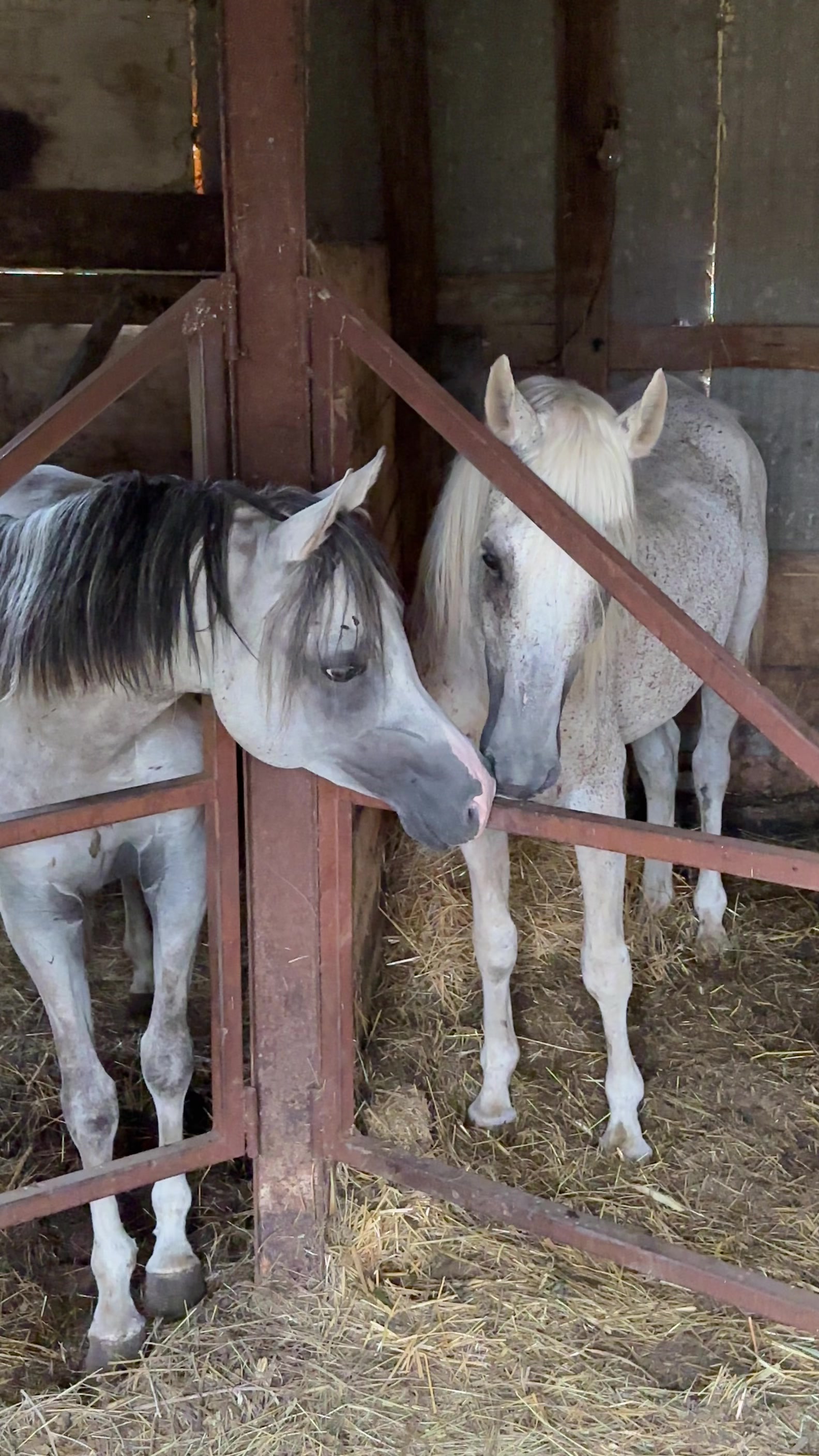 @MakvinStud