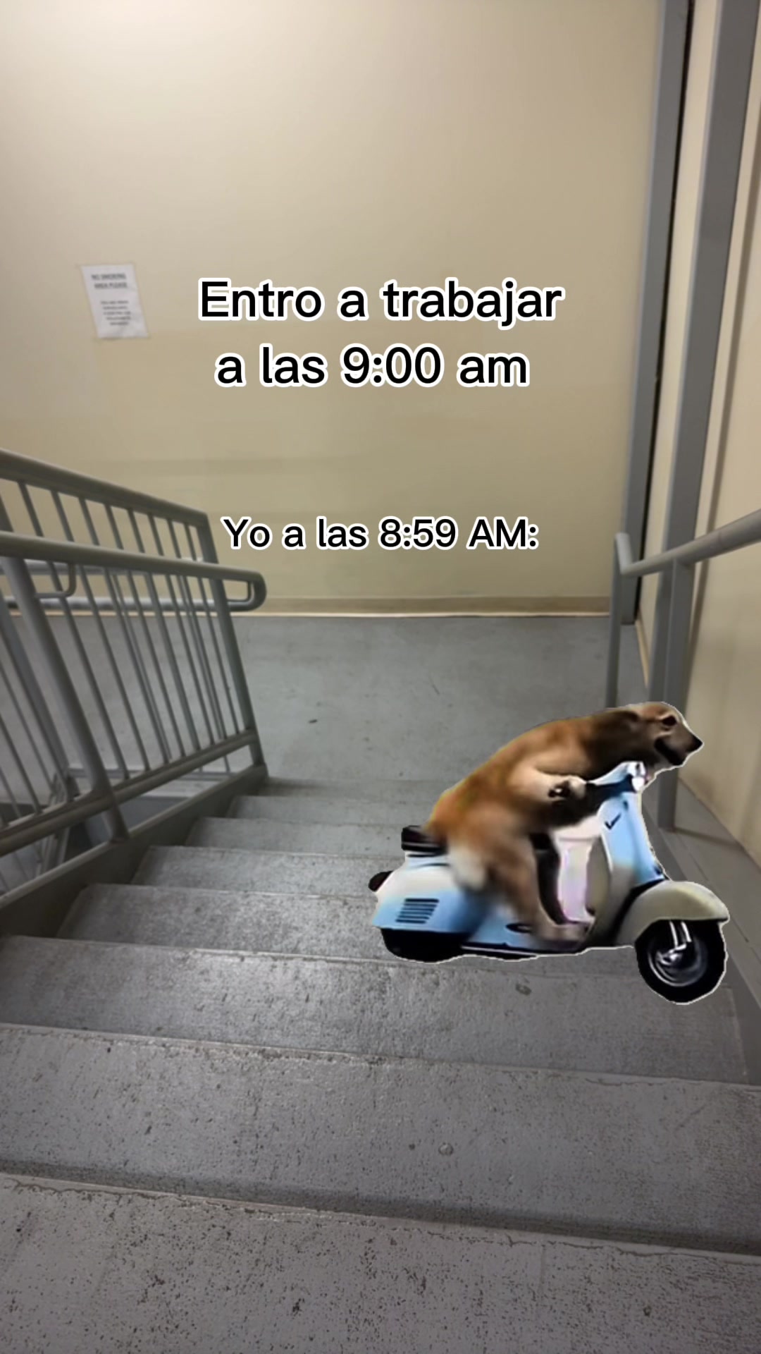 @Yanett Rivera