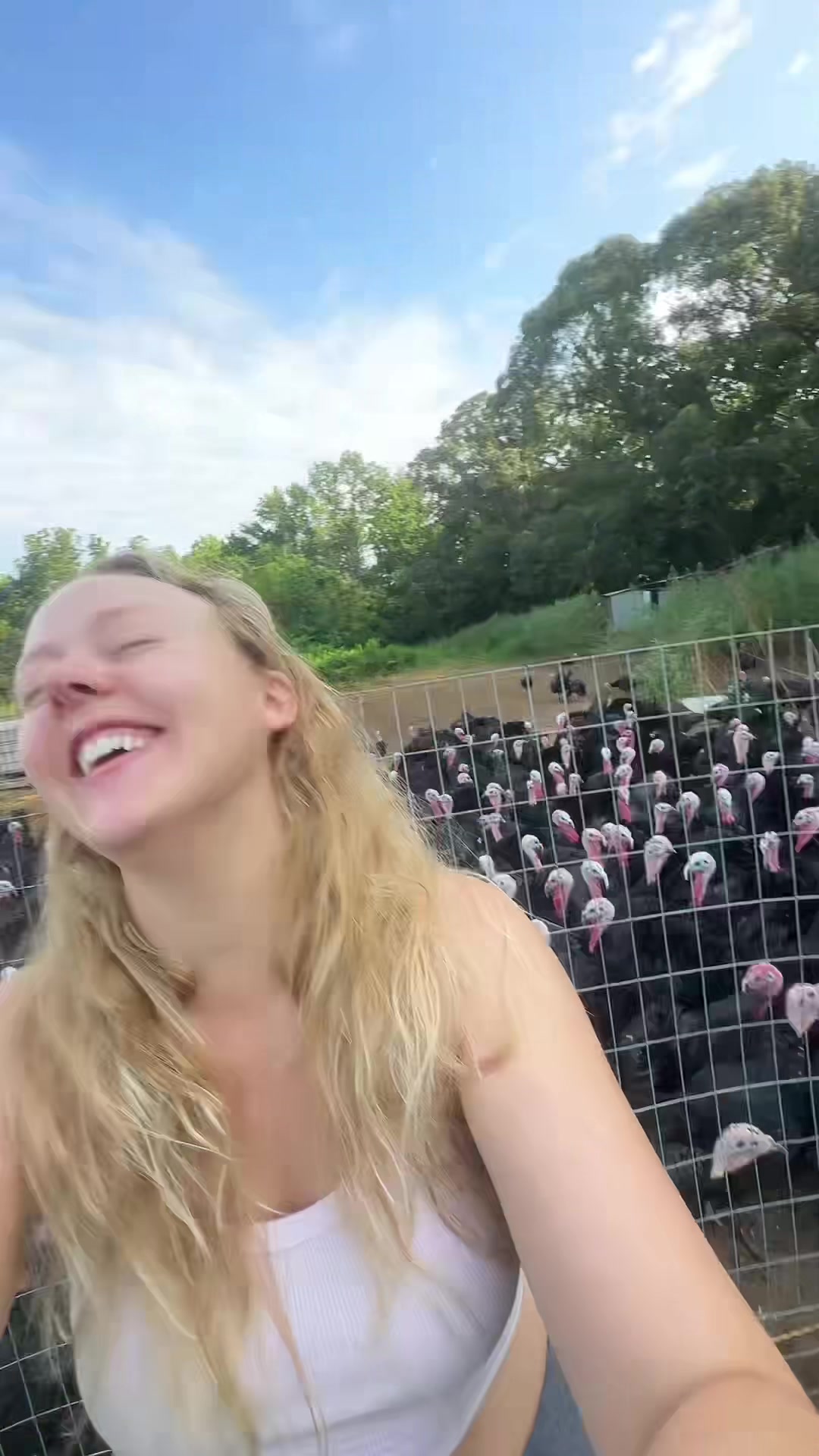 @farmerandtheharpiist