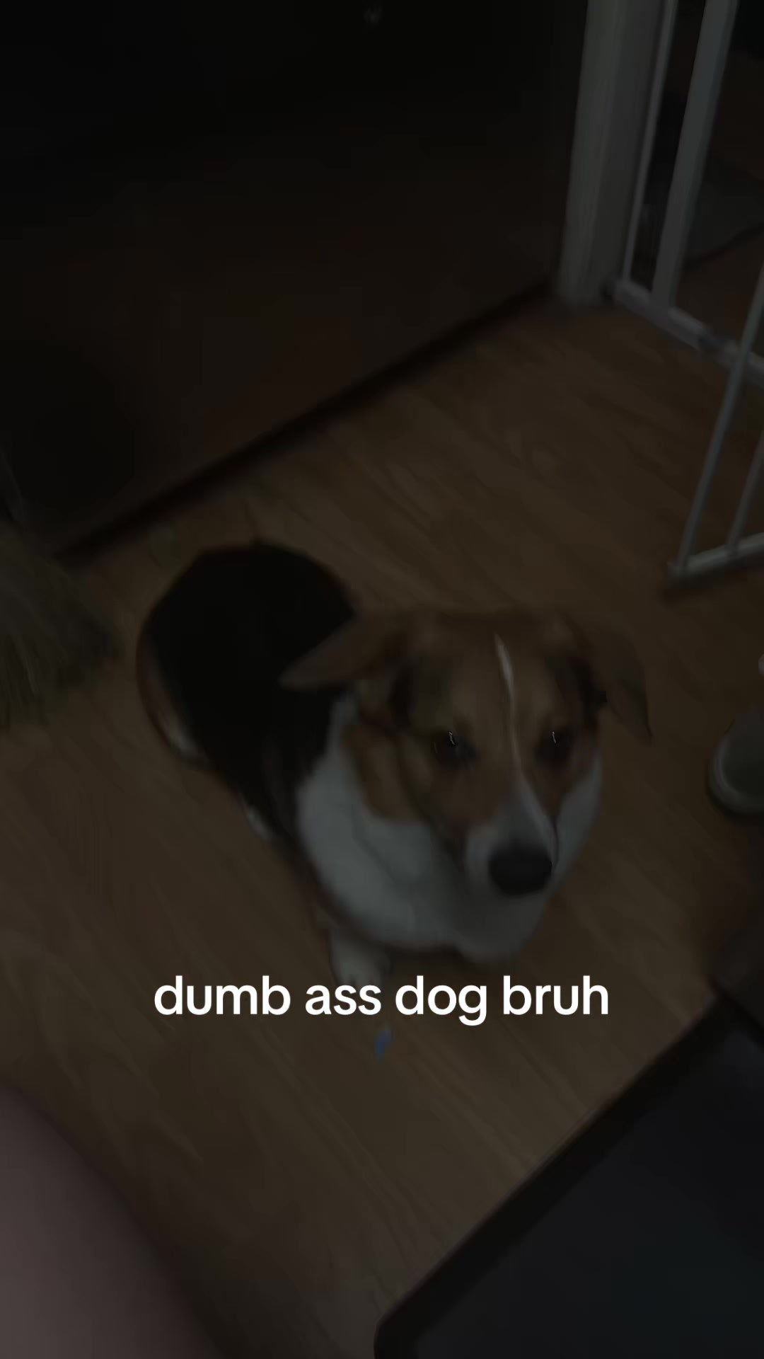 @mei