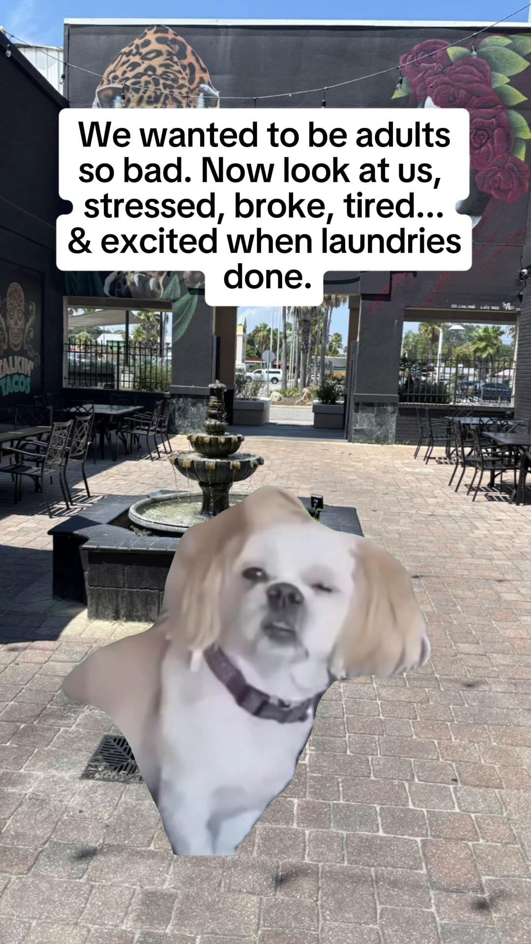 @Boredouttamymind
