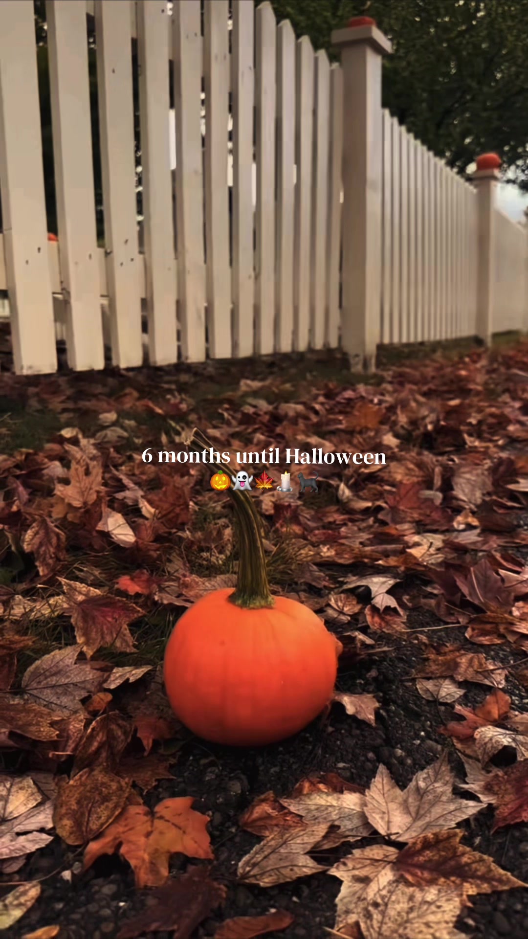 @fall.cozy_vibes