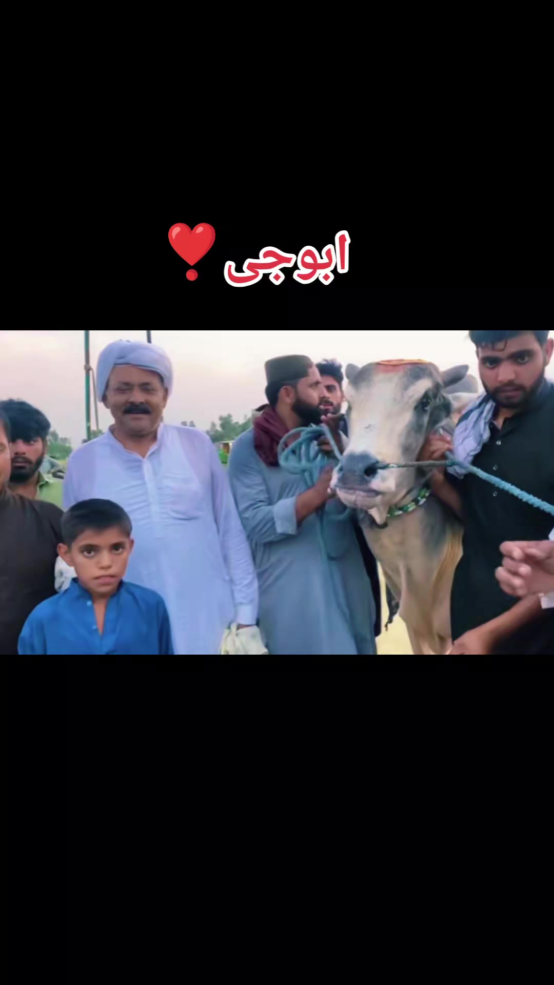 @چوہدری شاہد سلیم مڑل