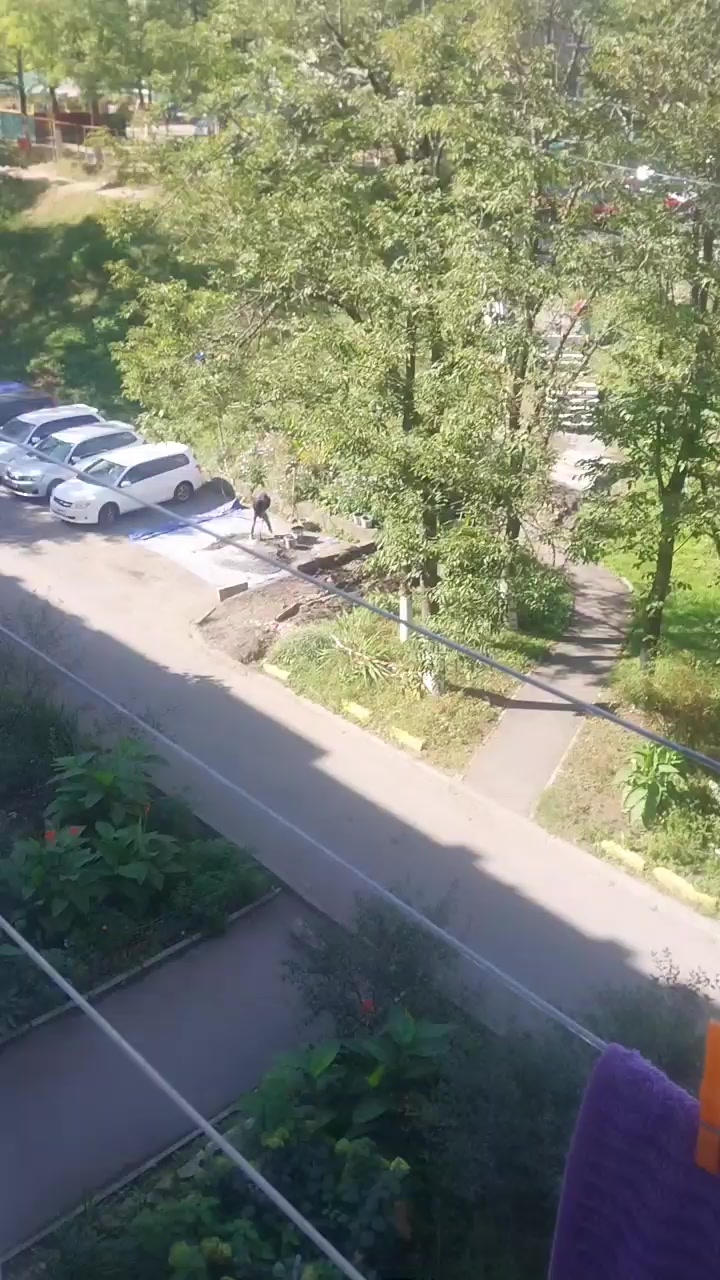 @Александр