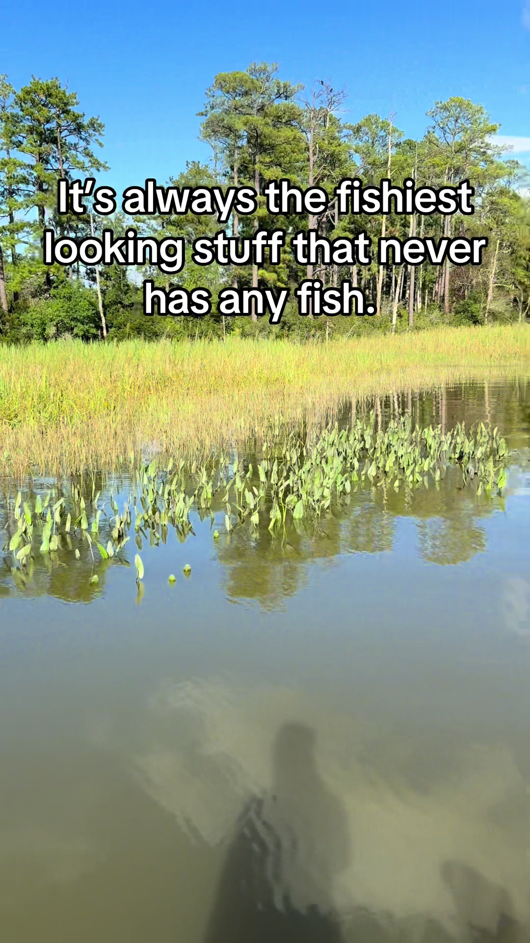 @evan_whitefishing