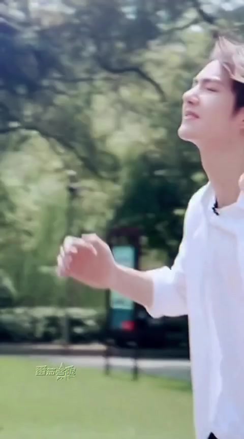 @DAYTOY