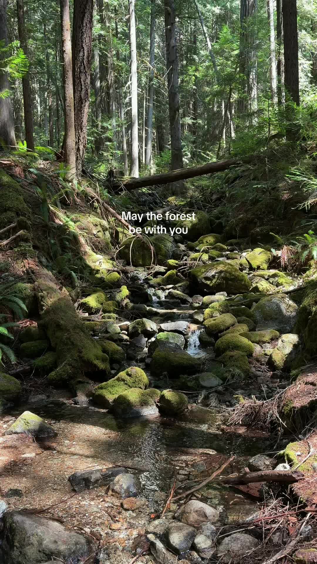 @Olivia | Outdoorsy Travel