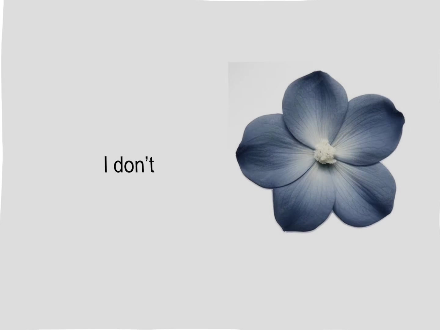 @neverxz._