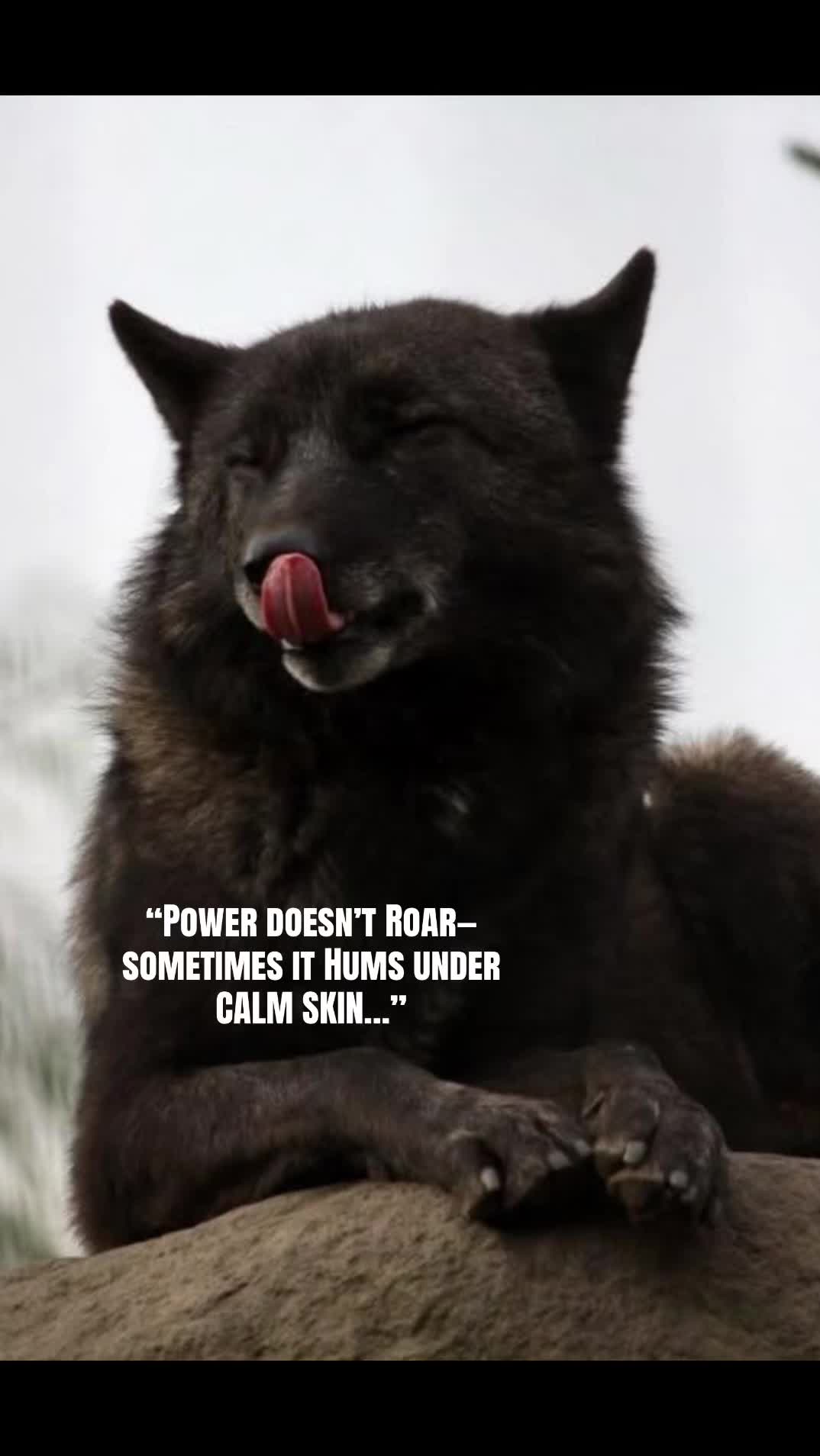 @🪬Conscious_LoneWolf🐺