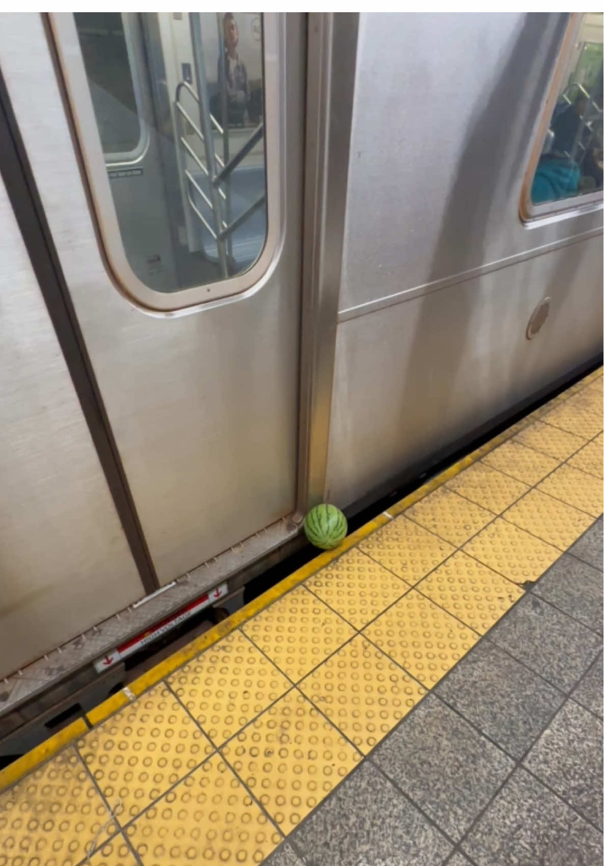 @SubwayCreatures