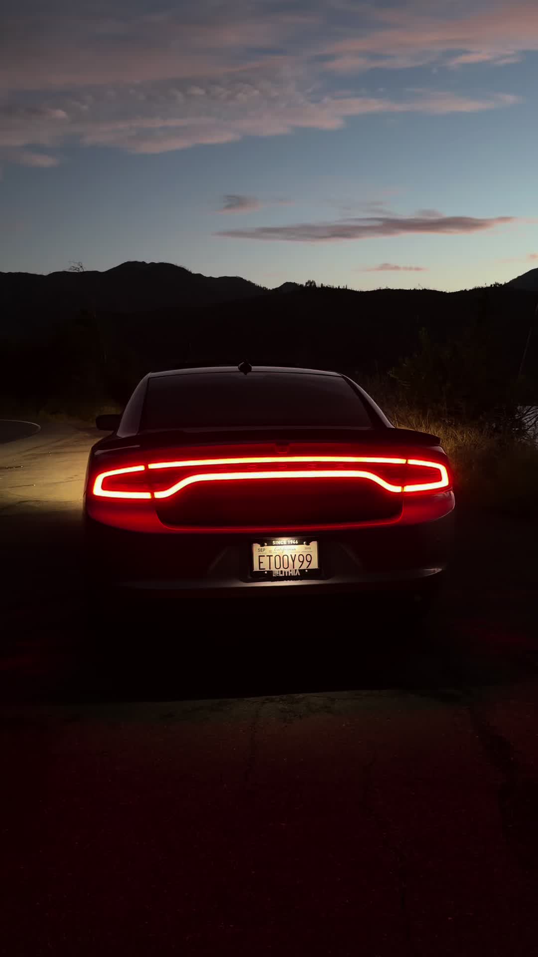 @HailsRt 🩶