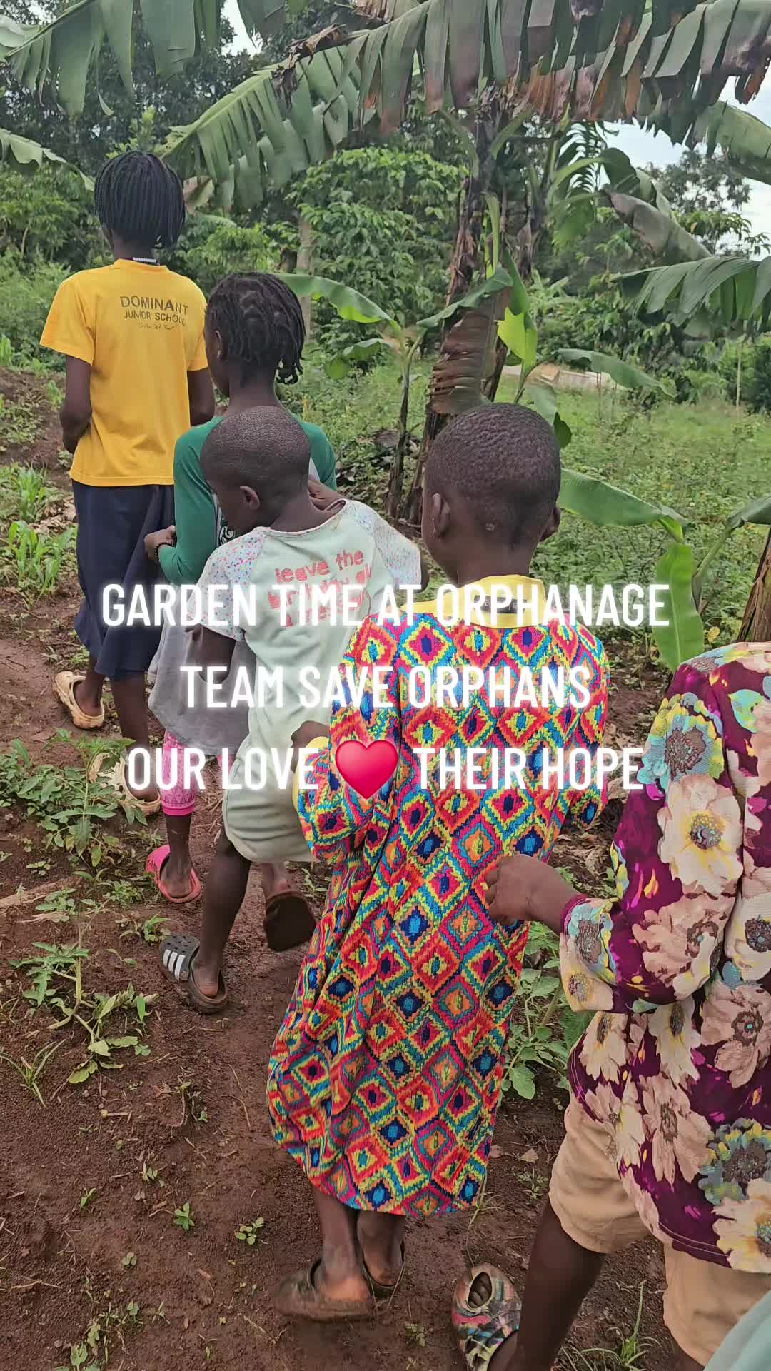 @TEAM SAVE ORPHANS