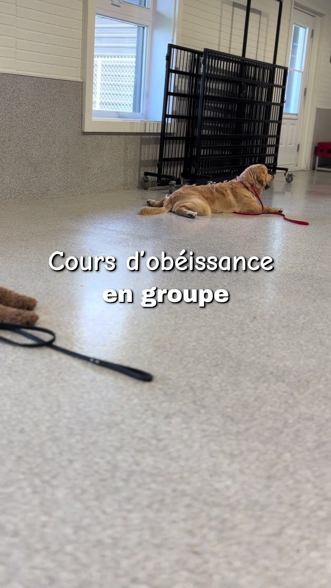 @centrecanindesruisseaux