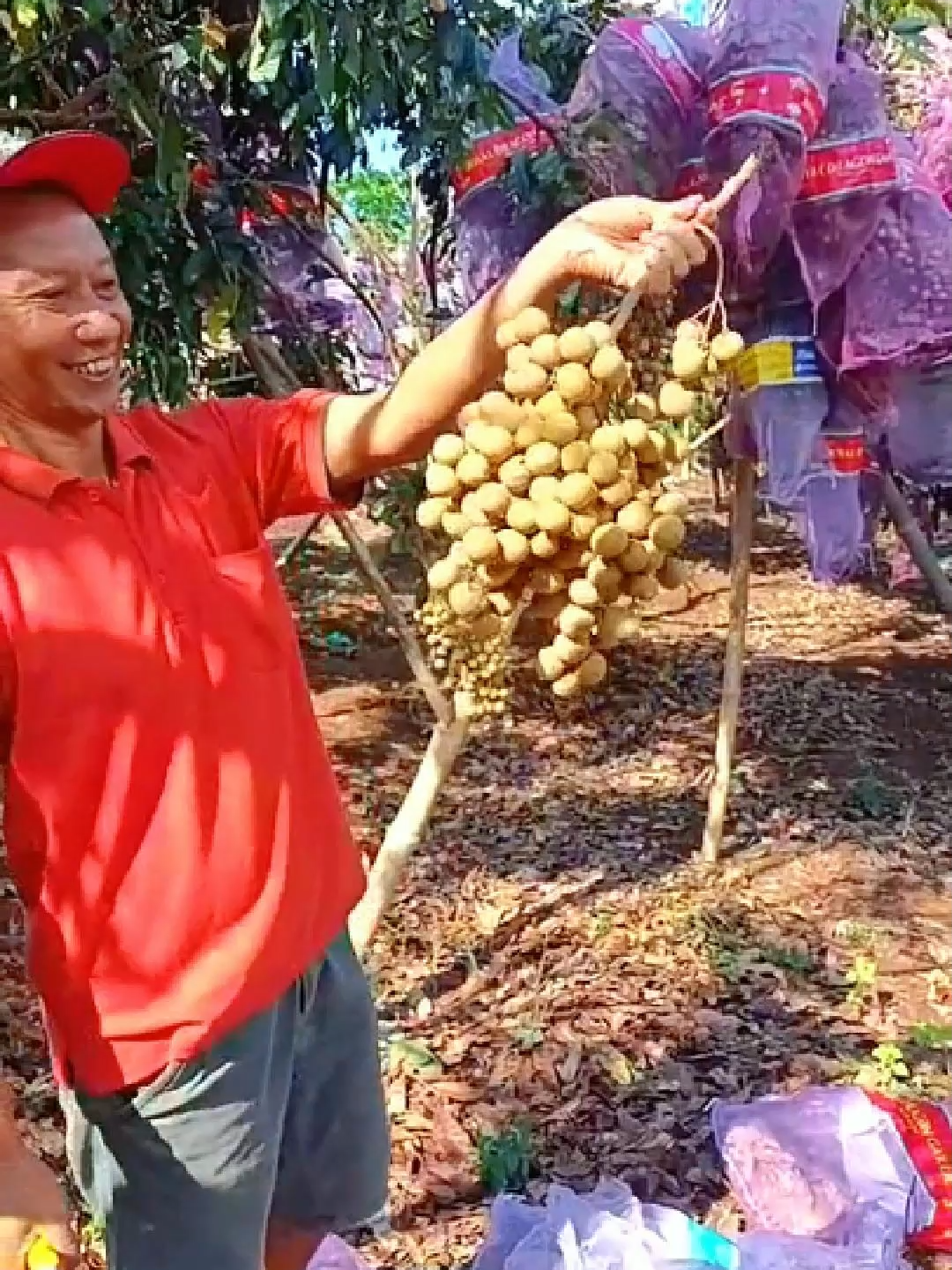 @adyrajalengkeng