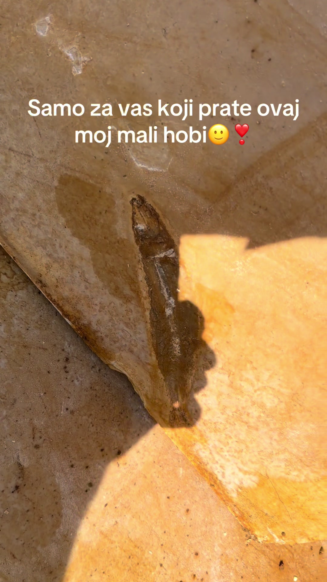 @ALEKSANDAR