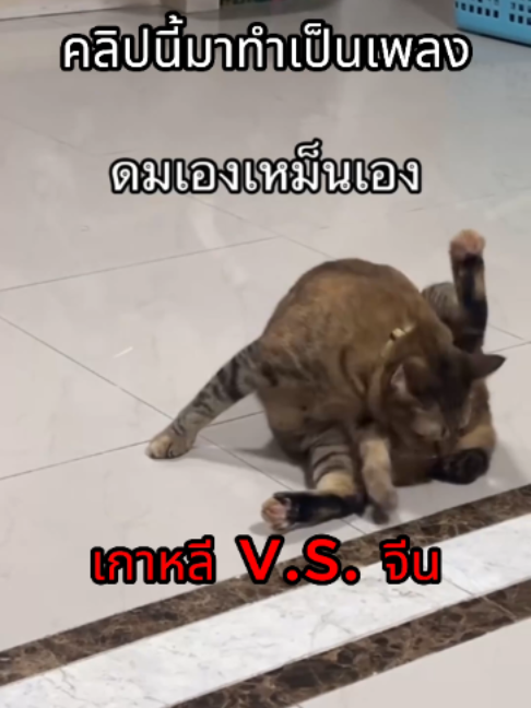 @ผักกาดดด