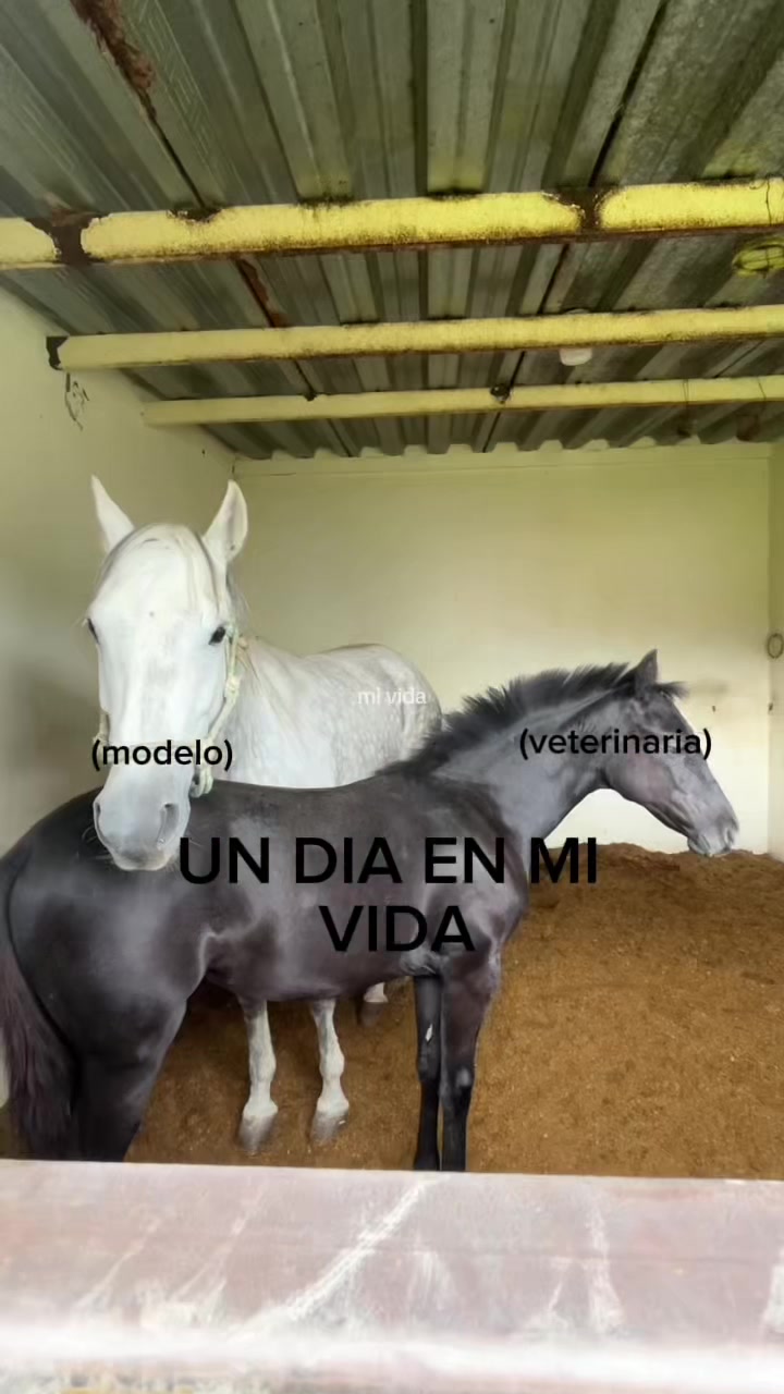 @Emily Avila