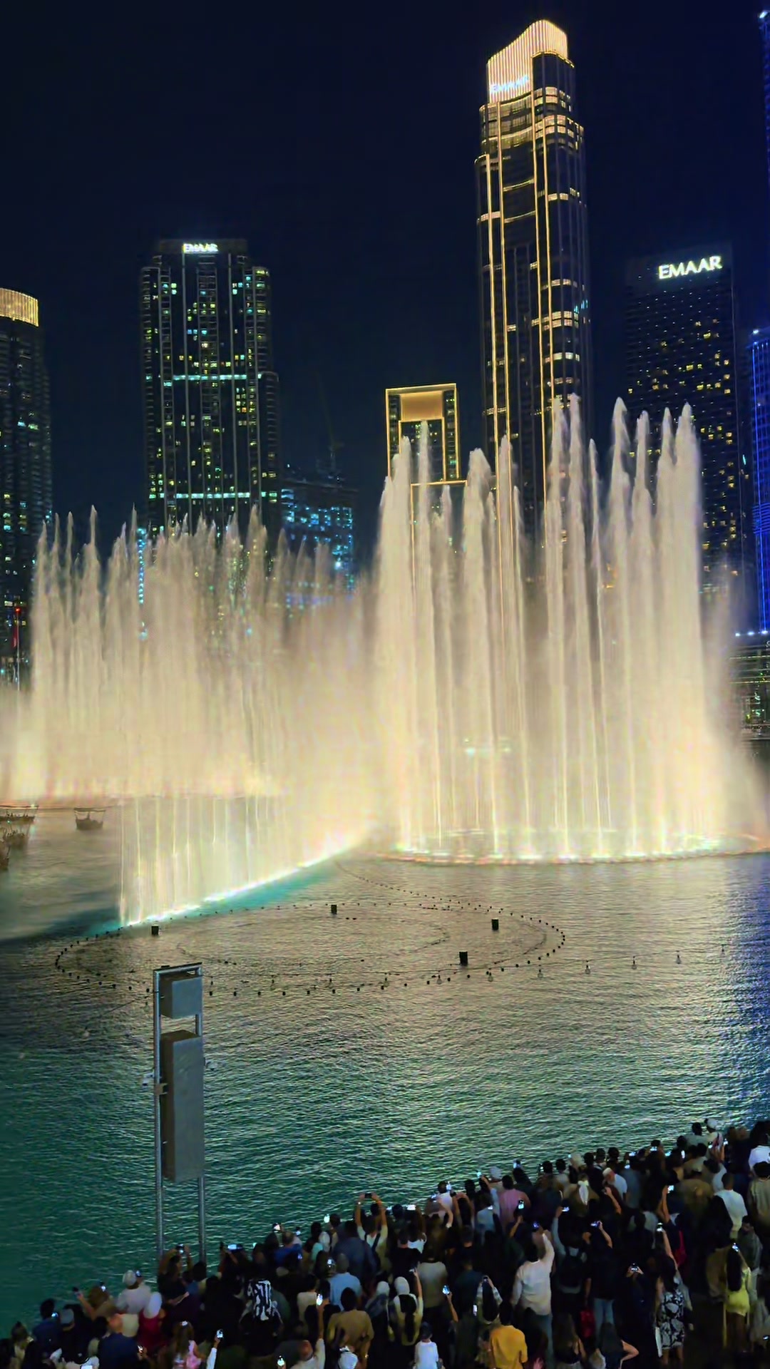 @Aneel Malhi
