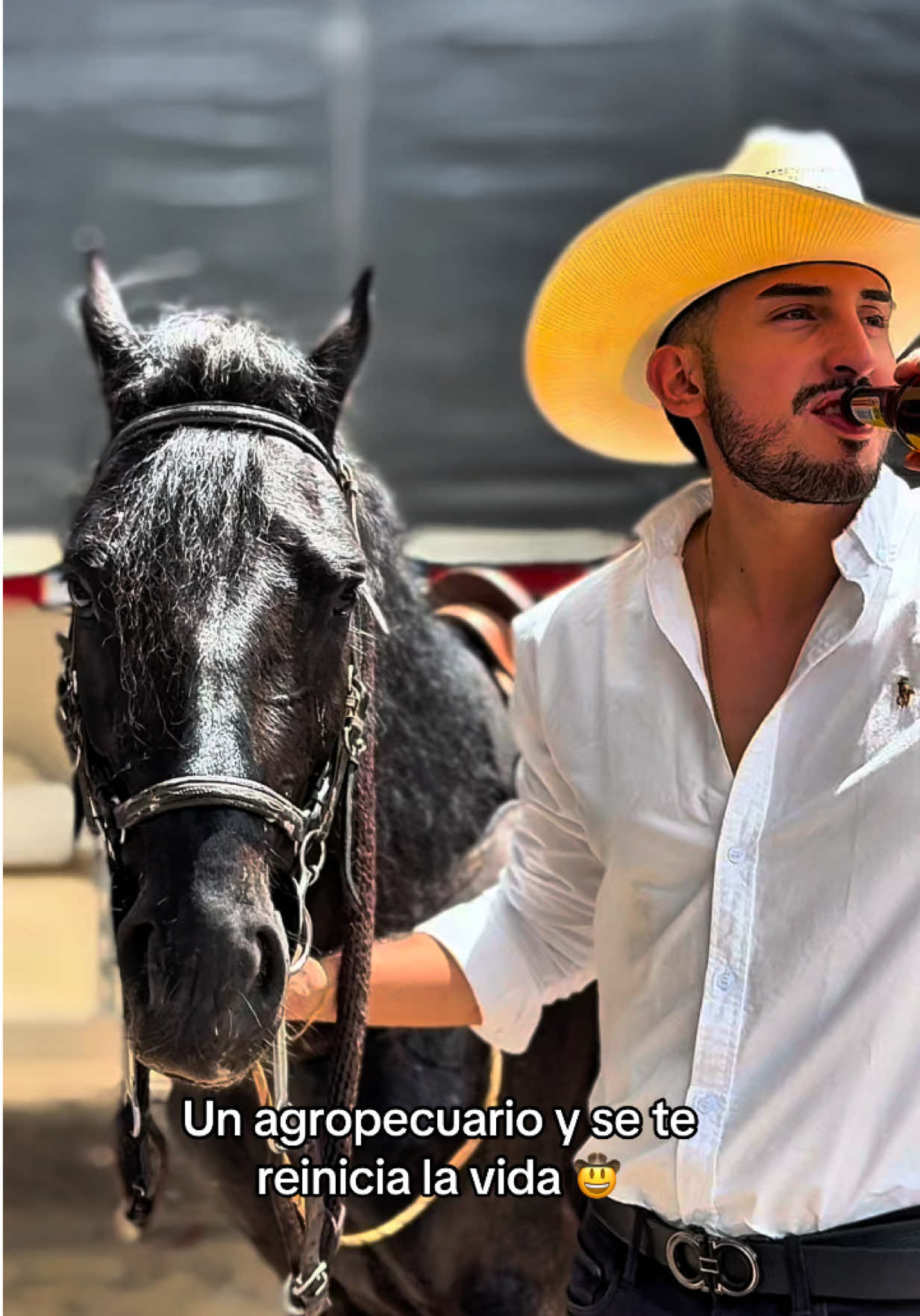@jotabaez_